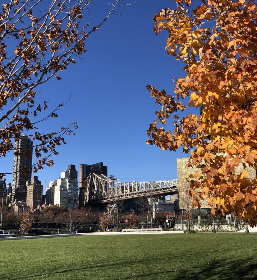 Parki w Nowym Jorku nie są częstym widokiem, ale są.