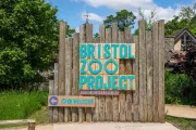 bristol-zoo-project-24