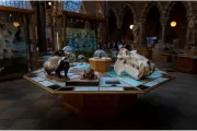 oxford-muzeum-historii-naturalnej-06