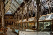 oxford-muzeum-historii-naturalnej-13