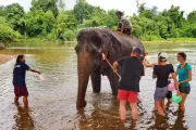 tajlandia-kanchanaburi-elephantsworld-slonie-16