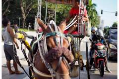 Filipiny - Manila stolica Filipin