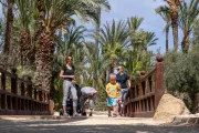 hiszpania-alicante-park-el-palmeral-01