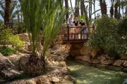hiszpania-alicante-park-el-palmeral-03