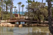hiszpania-alicante-park-el-palmeral-10