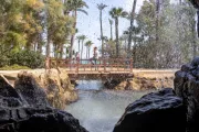 hiszpania-alicante-park-el-palmeral-11