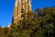 sagrada-familia-zdobienia-widok-z-parku-kobieta-pies