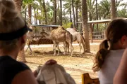 rio-safari-elche-zoo-zoological-park-960