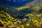 majorka-lluc-soller-dolina-lasy-zielen-miasto-gory