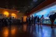 hiszpania-walencja-oceanarium-16
