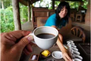 bali-indonezja-kawa-kopi-luwak-magdalena-kizewska-20