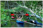 rzeka-brda-splyw-kajakowy-29