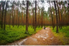 Polska - Roztocze - Rezerwat Nad Tanwia