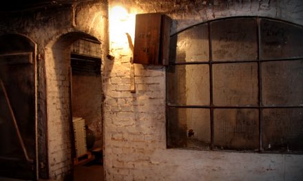 Klosnowo — wyłuszczarnia nasion niedaleko Chojnic