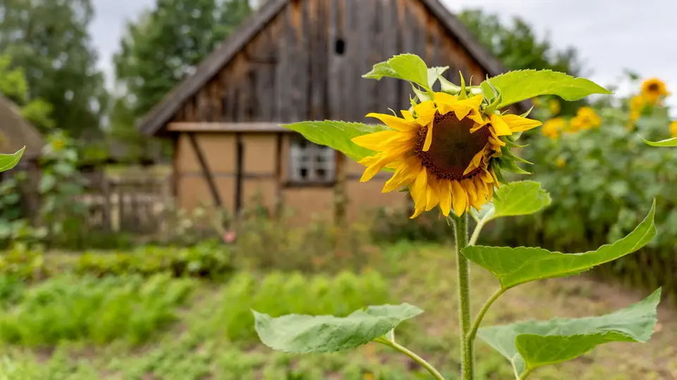 Wdzydze Kiszewskie skansen i Kaszubski Park Etnograficzny