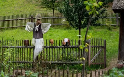 Kaszuby atrakcje, kultura oraz miejsca, które warto odwiedzić