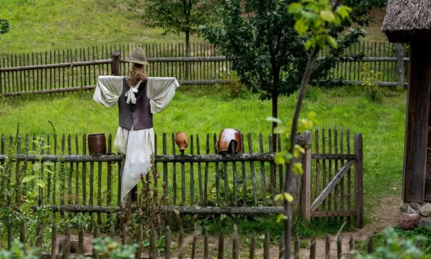 Kaszuby atrakcje, kultura oraz miejsca, które warto odwiedzić