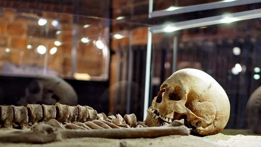 Szkielety odkryte podczas prac remontowych lekko niepokoją.