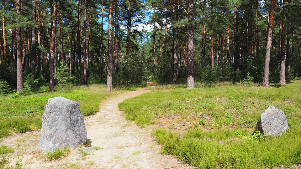 Kamienne kręgi w Odrach na Kaszubach.