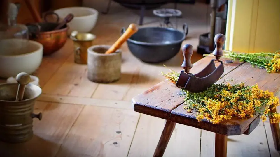 Muzeum Wsi Kieleckiej Skansen w Tokarni zioła w chłopskiej chacie