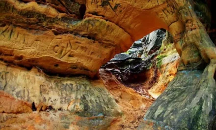 Rezerwat Skałki Piekło pod Niekłaniem w świętokrzyskim