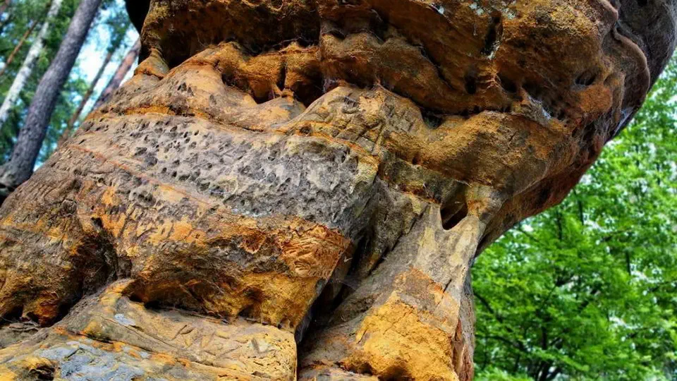 Rezerwat Skałki Piekło w świętokrzyskim