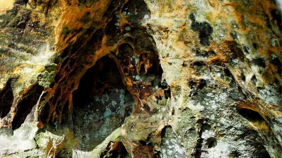 Rezerwat Skałki Piekło w świętokrzyskim