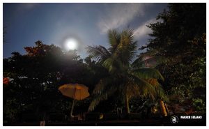 Noc na plaży w Koh Phangan – Tajlandia, księżyc oświetla palmy i plażę na wyspie, ciepła i pogodna noc, w tle restauracja na plaży