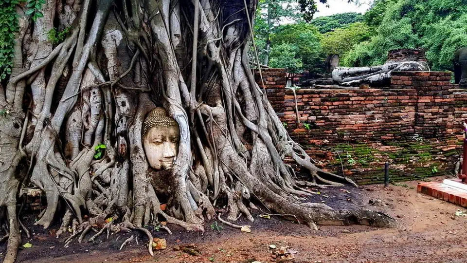 Ayutthaya – Świątynie w Tajlandii, pomnik Buddy