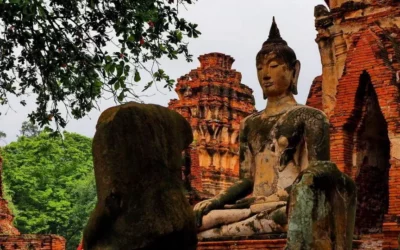 Ayutthaya w Tajlandii słynna głowa Buddy i inne ciekawostki