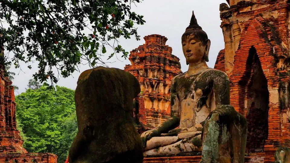 Ayutthaya w Tajlandii słynna głowa Buddy i inne ciekawostki