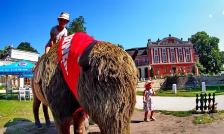 Pałac w Kurozwękach zwiedzanie, atrakcje i ciekawostki