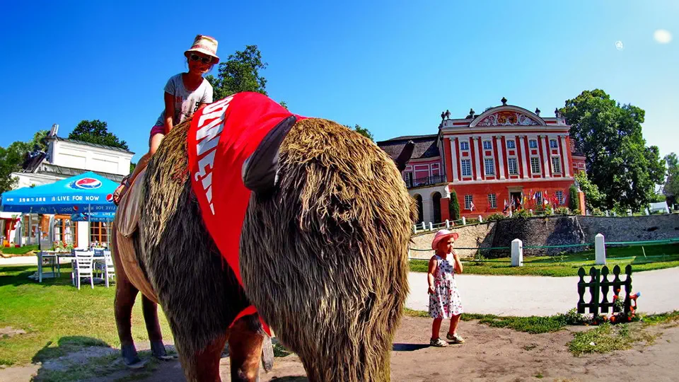 Pałac w Kurozwękach zwiedzanie, atrakcje i ciekawostki