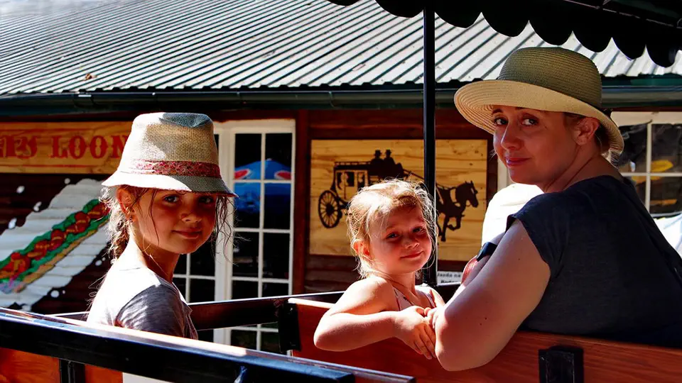 Pałac w Kurozwękach.