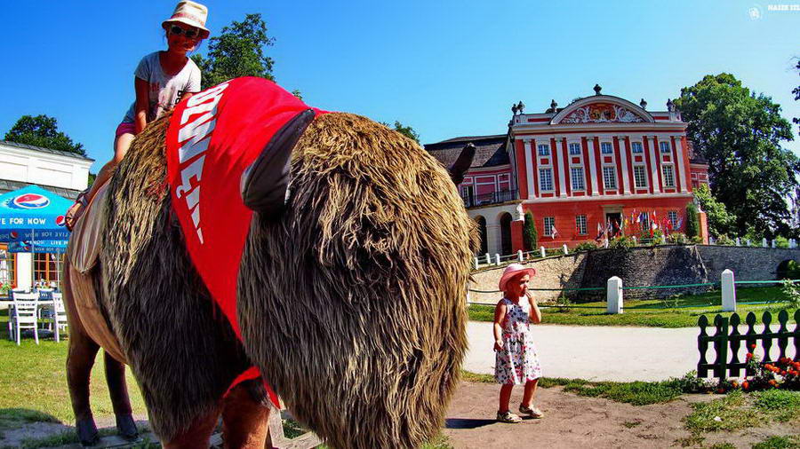 Pałac w Kurozwękach – Zwiedzanie, atrakcje i ciekawostki