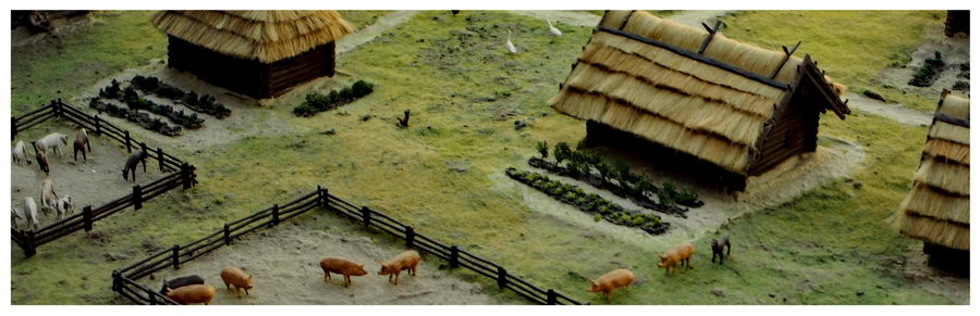 Ostrów Tumski i Brama Poznania 