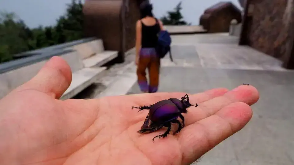 Park Narodowym Doi Inthanon.