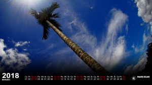 Tapeta na ekran z tropików z kalendarzem na marzec 2018