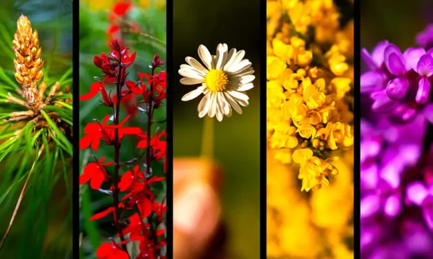 Lato najcieplejsza pora roku informacje i ciekawostki o lecie