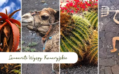 Lanzarote Atrakcje kanaryjskiej wyspy ognia oraz ciekawostki