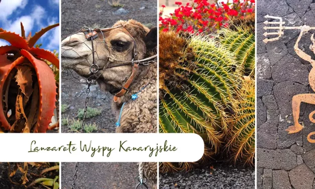 Lanzarote Atrakcje kanaryjskiej wyspy ognia oraz ciekawostki