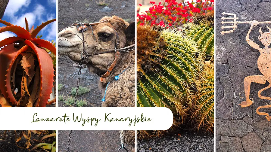 Lanzarote Atrakcje kanaryjskiej wyspy ognia oraz ciekawostki