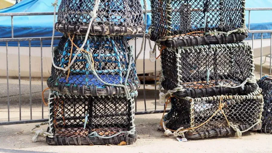 Kornwalia połowy owoców morza