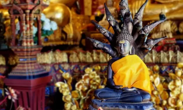 Chiang Mai w Tajlandii atrakcje, opinie i ciekawostki