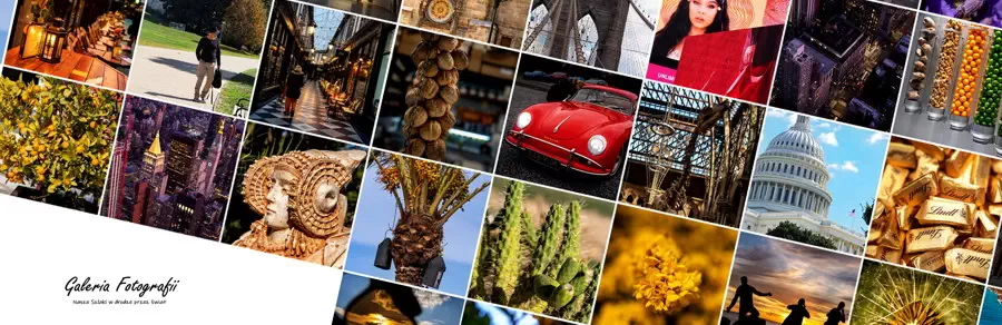 Link do galerii fotografii