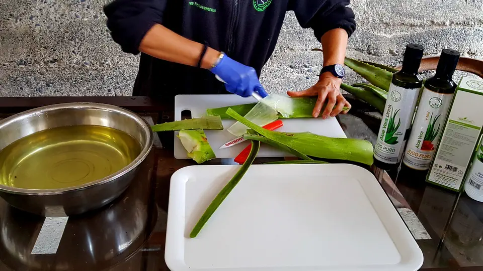 Aloes z Teneryfy