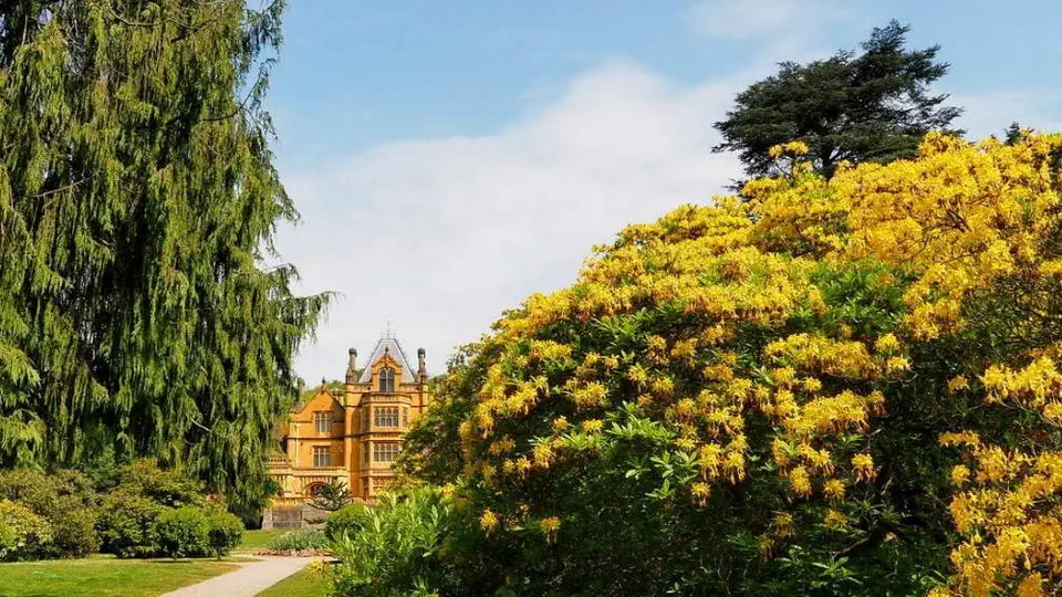 Tyntesfield National Trust Anglia.