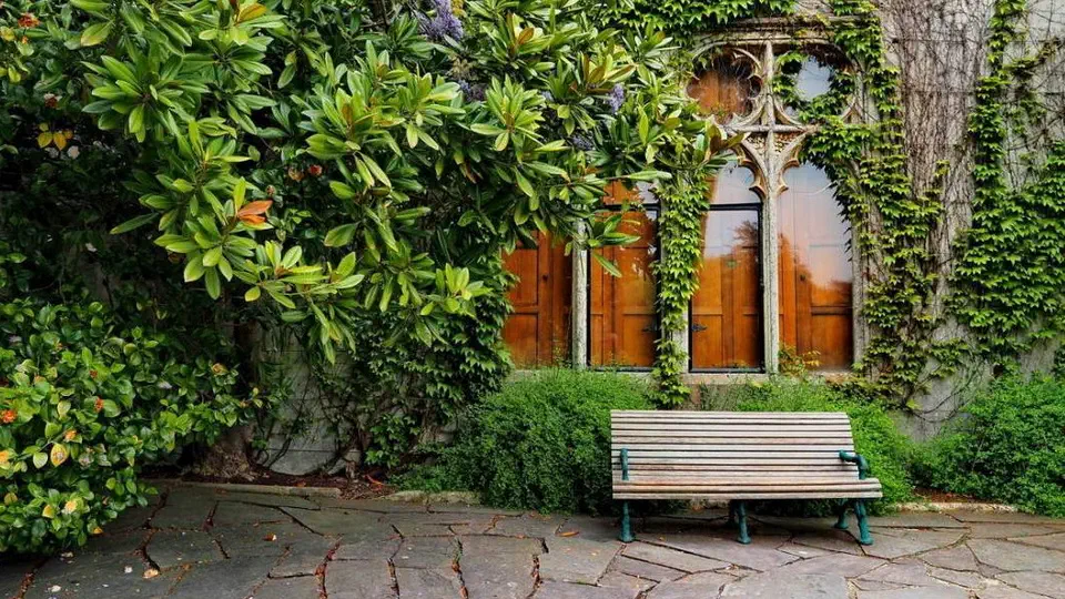 Tyntesfield National Trust Anglia.