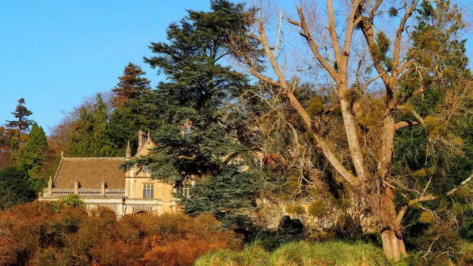 Tyntesfield National Trust Anglia.