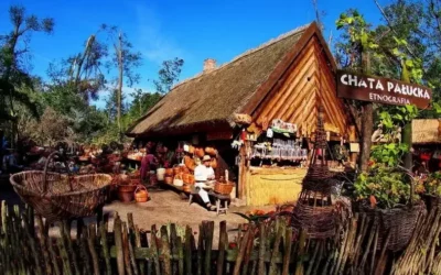 Festyn archeologiczny w Biskupinie atrakcje i ciekawostki